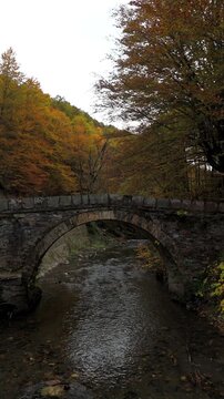 Old stone arch bridge over a clear mountain river surrounded by vibrant autumn foliage. Vertical video