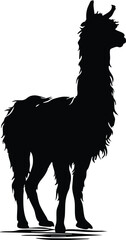 Naklejka premium Llama standing in profile view silhouette isolated on transparent background for design.