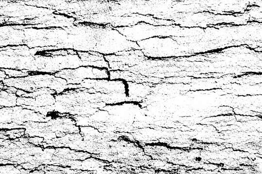 Cracked bark texture overlay black and white distressed tree bac