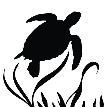 A sea turtle swims above aquatic plants depicted as a black silhouette