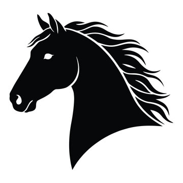 A striking black horse head portrait is rendered as a bold silhouette