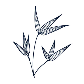Elegant botanical line art with stylized leaves and flowing branches on a white background. 