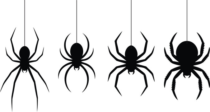 hanging spiders and spider webs vector illustration for Halloween spooky holiday party decoration art