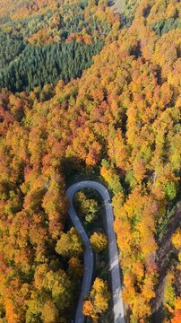 Aerial view of car driving on an autumn mountain road. Vertical video