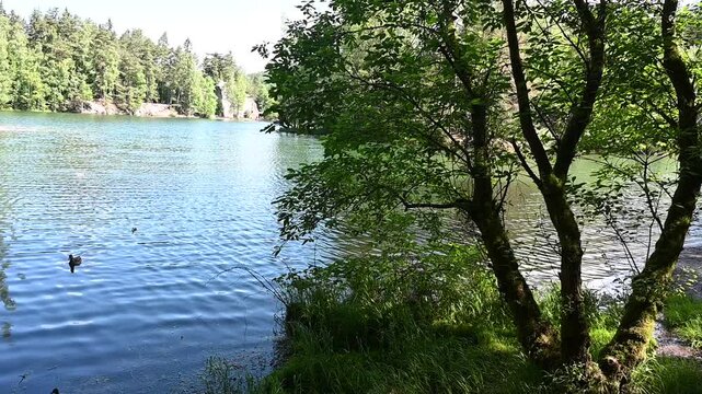P&iacute;skovna-See bei Adrspach in Tschechien