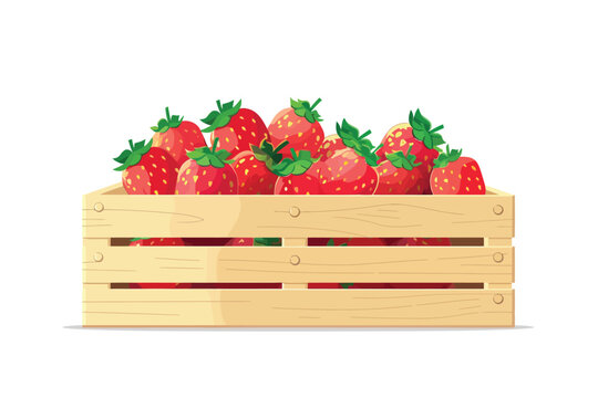 Wooden crate filled with strawberries isolated