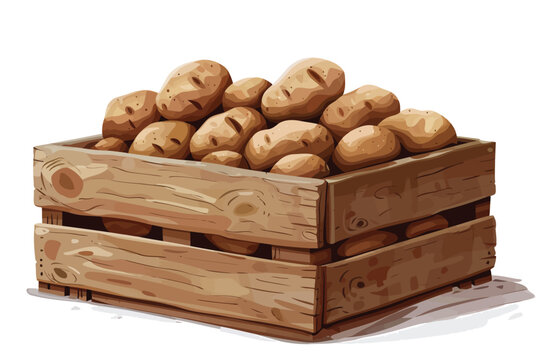 Wooden crate filled with potatoes isolated