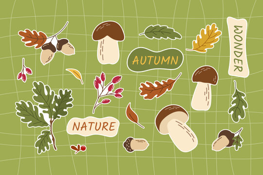 Hand drawn autumn sticker pack with wild mushrooms, brown oak leaves, acorns, berries, and lettering words. Flat vector illustration isolated on green checkered background.