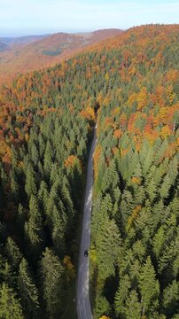 Aerial view of car driving on an autumn mountain road. Vertical video