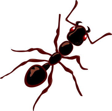 simple classic ant insect cartoon silhouette top view vector illustration isolated on transparent background