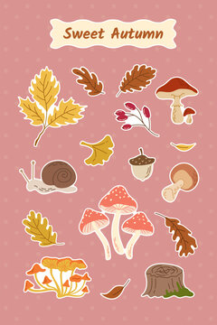 Hand drawn autumn sticker pack with wild mushrooms, toadstool, yellow oak leaves, cute snail, acorn, tree stump, and berries. Flat vector set isolated on pink polka dot background.