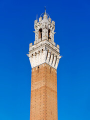 Fototapeta premium Mangia Tower ( translated Torre del Mangia) Bell tower Siena Tuscany Italy