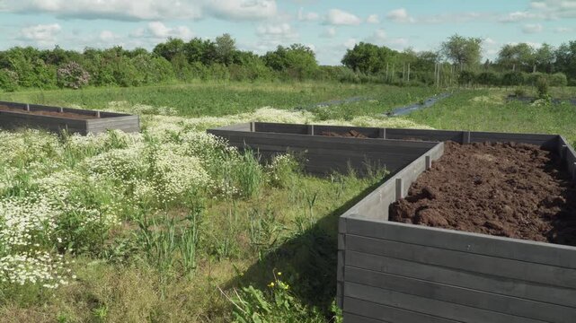 Wooden Raised Garden Beds in Sunny Rural Field