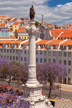 Pedro IV Monument and Jacaranda Trees at Rossio Square in Lisbon, Portugal