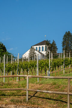 house on the vineyards above trier germany
