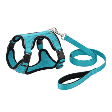 Comfortable turquoise dog harness and leash set for walks