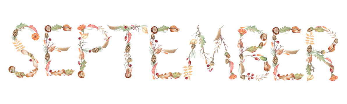 Botanical typography September word created from the autumn leaves, twigs, flowers, pinecones, acorns, chestnuts, and berries. Beautiful detailed hand drawn lettering for cozy fall season