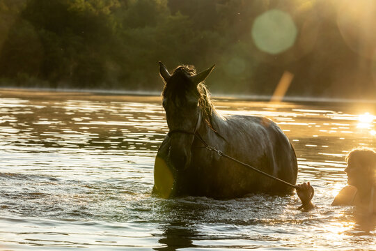 Reiterin badet mit Pferd