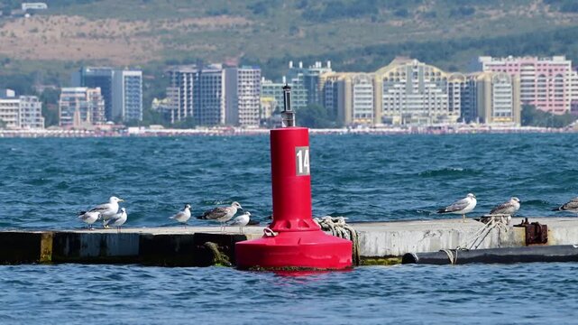 A bright red navigational buoy stands next to a concrete breakwater where seagulls are resting, with a coastal city and resort hotels visible in the background across the blue sea.