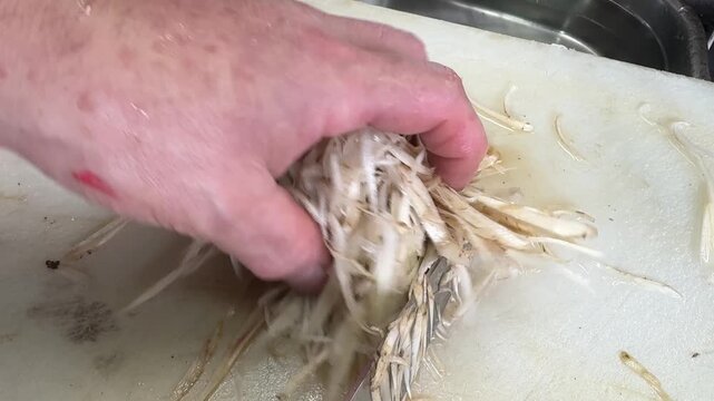 Pile of freshly shaved burdock root gobo strips on cutting board, Japan
