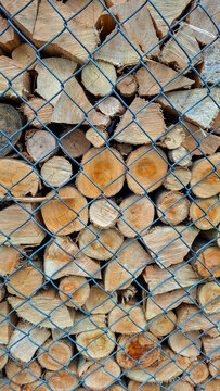 Geometric grid of a bluish wire mesh fence overlaid on an irregular, organic pile of tree firewood. Ideal for backgrounds of juxtaposed textures.