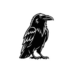 Fototapeta premium Strong black raven mascot vector illustration of a wild crow bird standing isolated on a clean white background for sports logo design