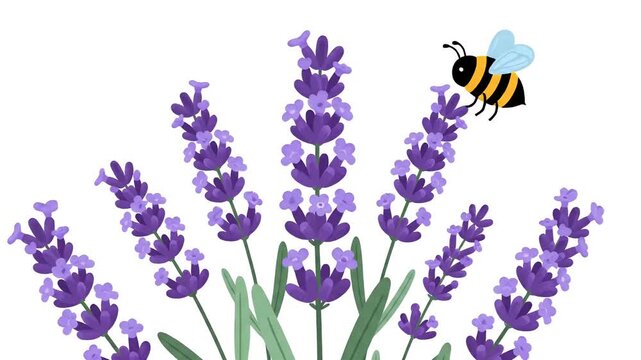 Animation of a lavender plant with a buzzing bee, natural spring scene, delicate floral element, simple flat design