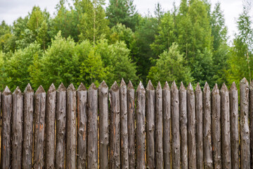 Obraz premium Row of sharpened wooden log palisade fence stakes with pointed tips against green forest trees under overcast sky.