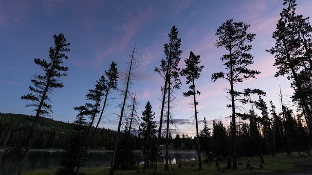 Sunrise timelapse looking past trees in the sky in the Utah wilderness at Lyman Lake in the Uintas.
