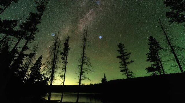 Timelapse of the milky way moving through the sky looking up at the stars with trees silhouetted in the Utah wilderness.