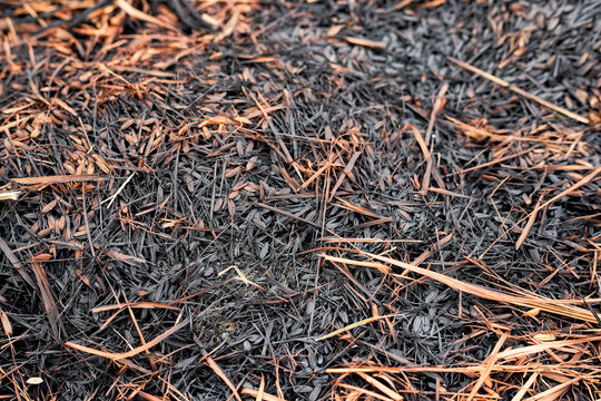 Dark abstract grunge texture featuring burnt rice chaff residues. Natural pattern with rich organic contrast suitable for environmental backgrounds, biomass fuel, and agricultural themes.