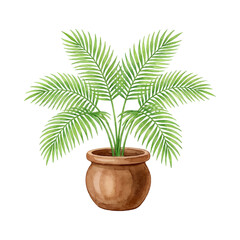 Fototapeta premium Watercolor illustration of a tropical palm plant with a few arching fronds in a brown clay pot