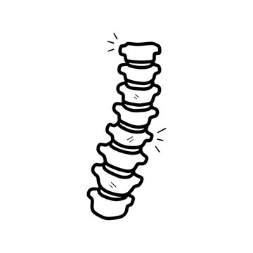 Hand drawn illustration of a human spine with curved vertebrae, representing anatomy, healthcare, skeletal structure and back pain concepts.