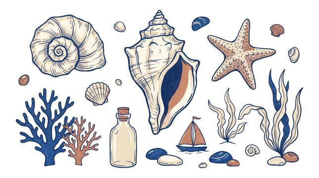 Coastal marine life collection hand drawn nautical elements with including various seashells seashells starfish coral branches seaweed smooth