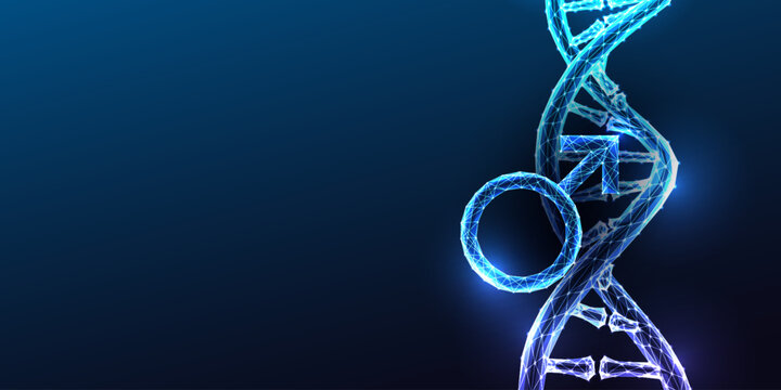 DNA Double Helix Male Gender Symbol XY Chromosome Genetics Glowing Blue Polygonal Vector