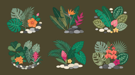 Fototapeta premium Tropical botanical vector illustration set featuring colorful exotic flowers and green palm leaves with river stones