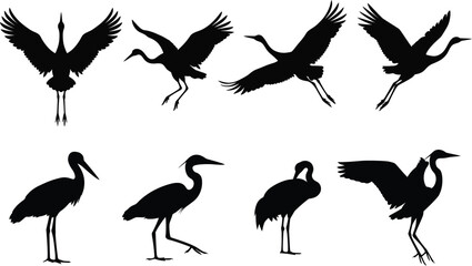 Naklejka premium Crane bird silhouette set isolated on white background vector illustration