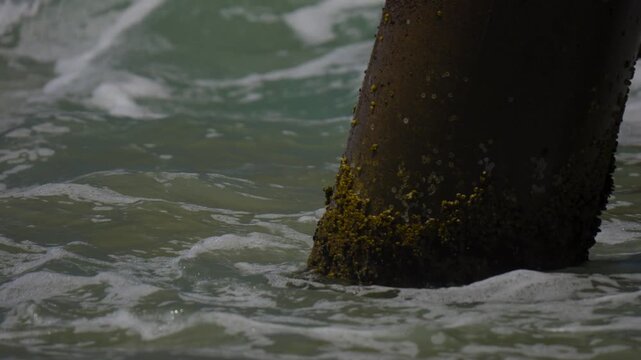 Close up of barnacles and waves breaking on pier pylons