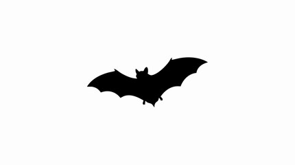 Fototapeta premium Silhouette of a bat in flight.