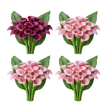 Elegant deep purple and pastel pink calla lily bouquets with vibrant green stems and waxy leaves, against a transparent studio background, portraying sophisticated elegance