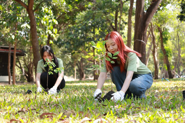 Fototapeta premium Group of Asian youth volunteering to plant saplings into the soil. Reforestation project, global warming reduction, and environment conservation activities.