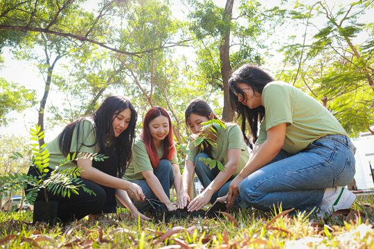 Young female volunteers join a tree planting activity to protect nature, restore green spaces, reduce climate impact, and inspire communities to care for the environment and our planet.