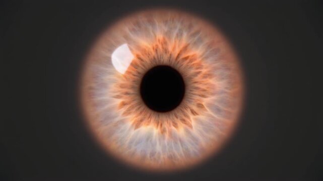 Extreme macro footage of a single beautiful healthy human eye with a soft bright peach-color iris for national eye exam month