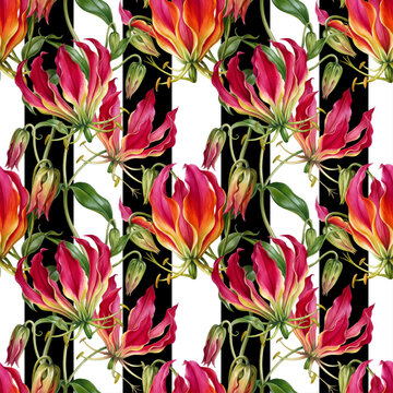 Seamless vector pattern with colorful gloriosa superba flowers isolated on a changeable background.
