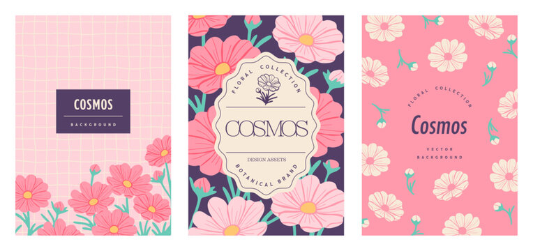 Cosmos flower background design set (A4 aspect ratio)