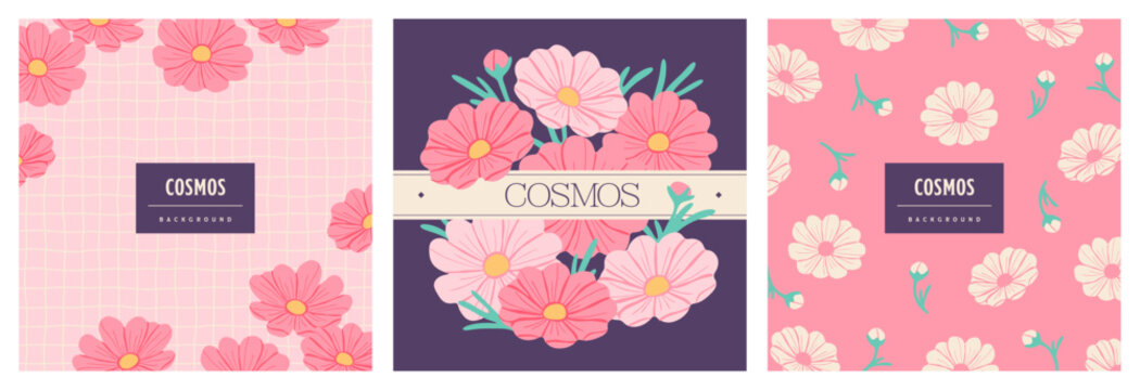Square background design set featuring cosmos flowers