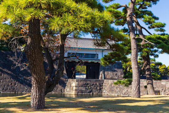 日本の風景・秋　東京　皇居外苑　坂下門	