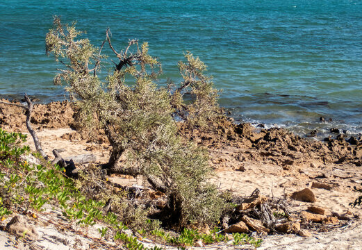 View from Coastal Southwestern Madagascar across the Mozambique Channel
