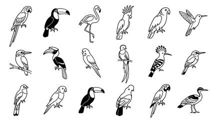 Naklejka premium Hand-drawn Black White Line Art Icons Set of Various Birds for Nature Wildlife Designs