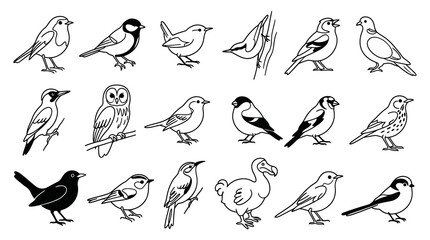 Fototapeta premium Black and White Line Art Collection of Various Bird Species
